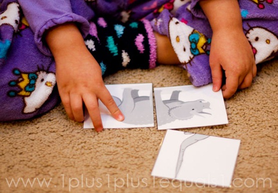 Home Preschool Letter Dd -9766