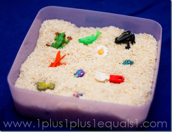 Home Preschool Letter Ff -1503