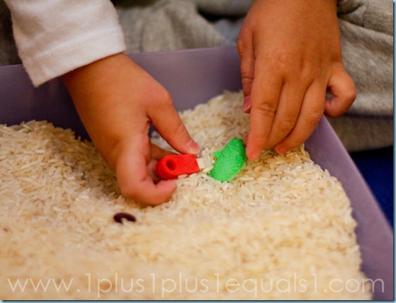 Home Preschool Letter Ff -1506