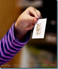 Home Preschool Letter Hh -3165