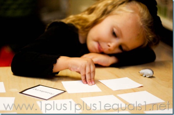 Home Preschool Letter Hh -3187